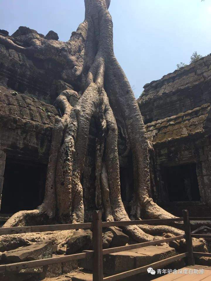 【旅行体验师日记】1000美金 越南-柬埔寨-老挝三国穿越日记（柬埔寨篇）