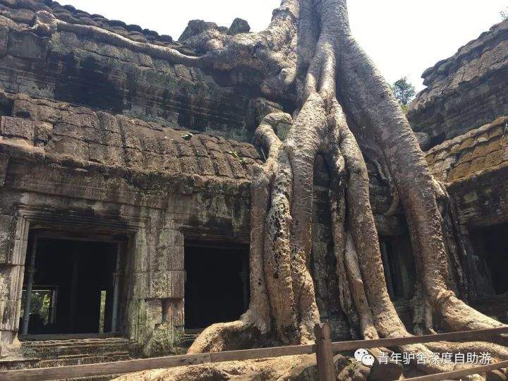 【旅行体验师日记】1000美金 越南-柬埔寨-老挝三国穿越日记（柬埔寨篇）