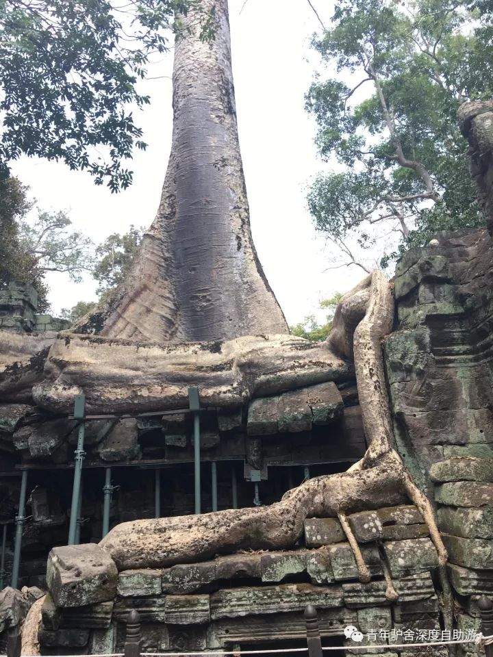 【旅行体验师日记】1000美金 越南-柬埔寨-老挝三国穿越日记（柬埔寨篇）