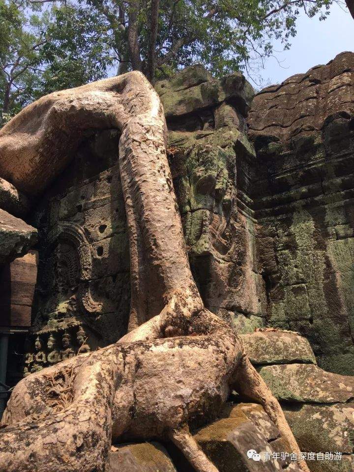 【旅行体验师日记】1000美金 越南-柬埔寨-老挝三国穿越日记（柬埔寨篇）