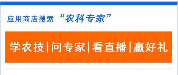 农村土地回收一亩补30万？什么土地符合政府回收标准？