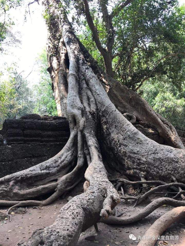 【旅行体验师日记】1000美金 越南-柬埔寨-老挝三国穿越日记（柬埔寨篇）