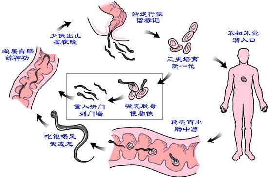 糖尿病人易发生4种感染，学会两招，很有必要