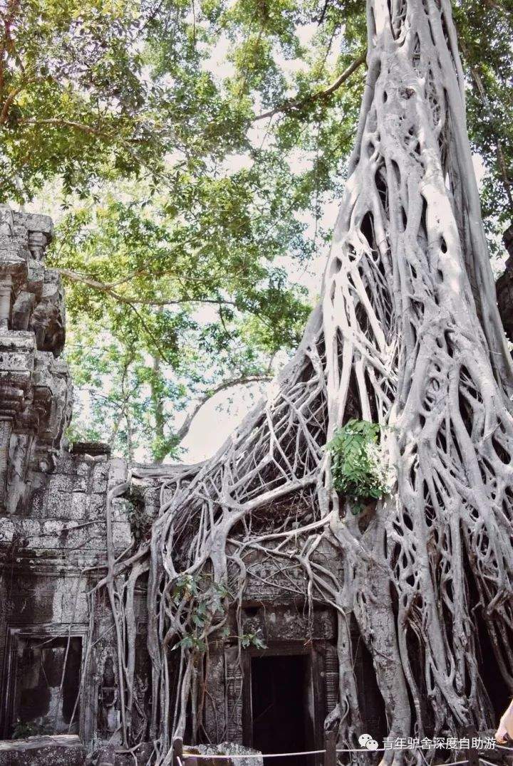 【旅行体验师日记】1000美金 越南-柬埔寨-老挝三国穿越日记（柬埔寨篇）