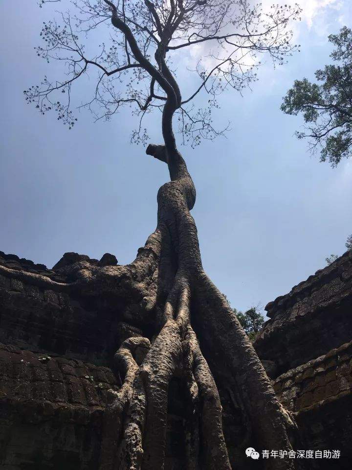 【旅行体验师日记】1000美金 越南-柬埔寨-老挝三国穿越日记（柬埔寨篇）