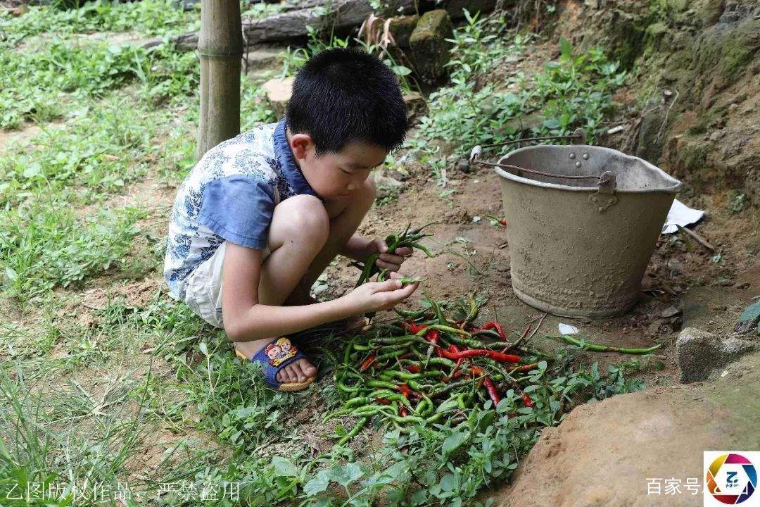 7岁男童患病，回家喝3个月中药维持生命，家里种的辣椒成唯一希望