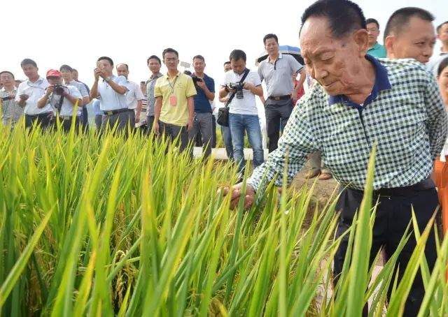 袁隆平“豪宅”首度曝光，结果出人意料…