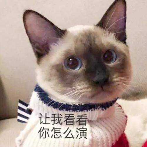 该不该给猫猫做绝育手术？