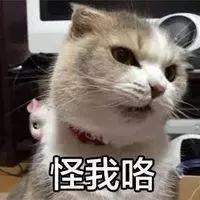 该不该给猫猫做绝育手术？