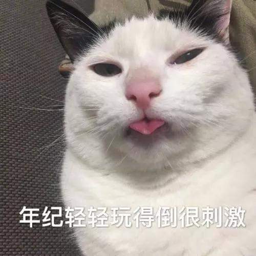 该不该给猫猫做绝育手术？