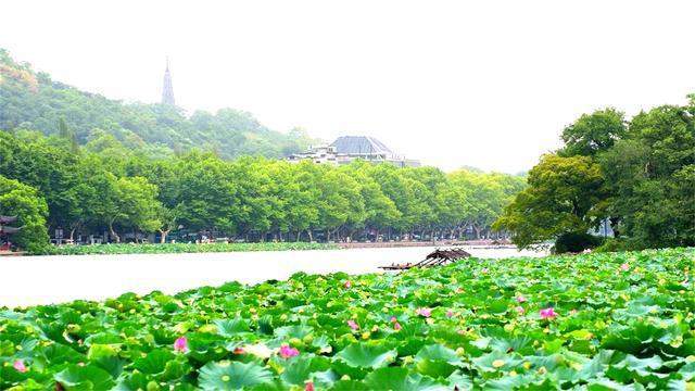 我国最适合老人旅游的3大景区，消费合适，名气大还不宰客