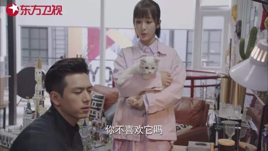 杨紫送李现小奶猫定情，两人当众拥抱狂撒狗粮