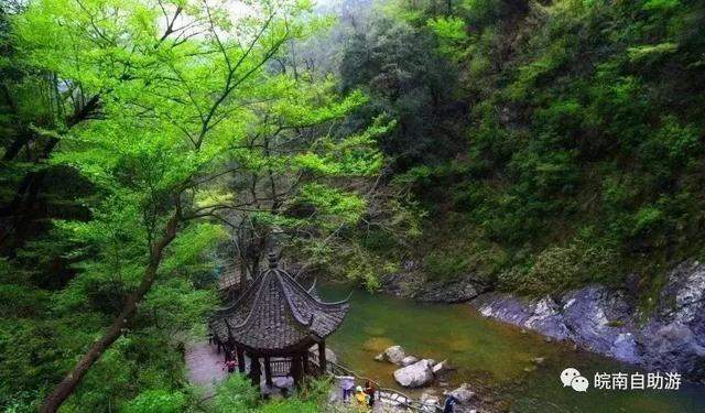 逃离酷暑，我要去22°的天然氧吧天堂寨过夏天啦