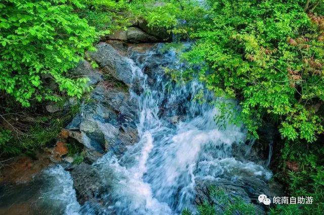 逃离酷暑，我要去22°的天然氧吧天堂寨过夏天啦