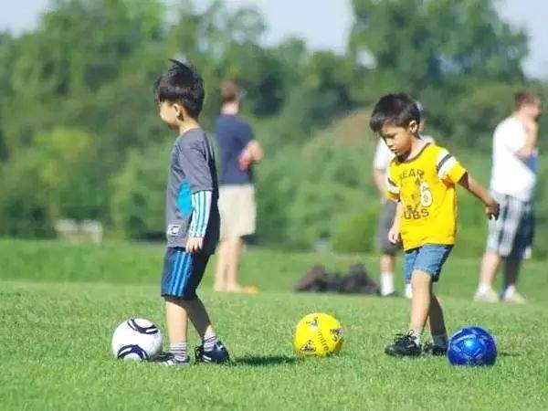 省教育厅刚刚公示！晋中4所中小学被推荐，在这些学校上学的有福了…