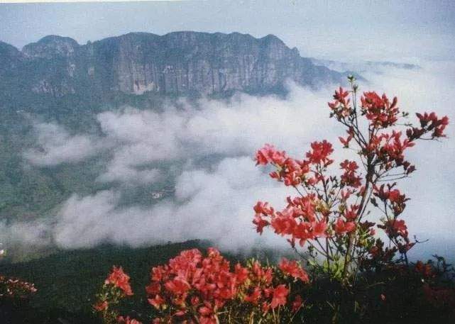 幸福临海