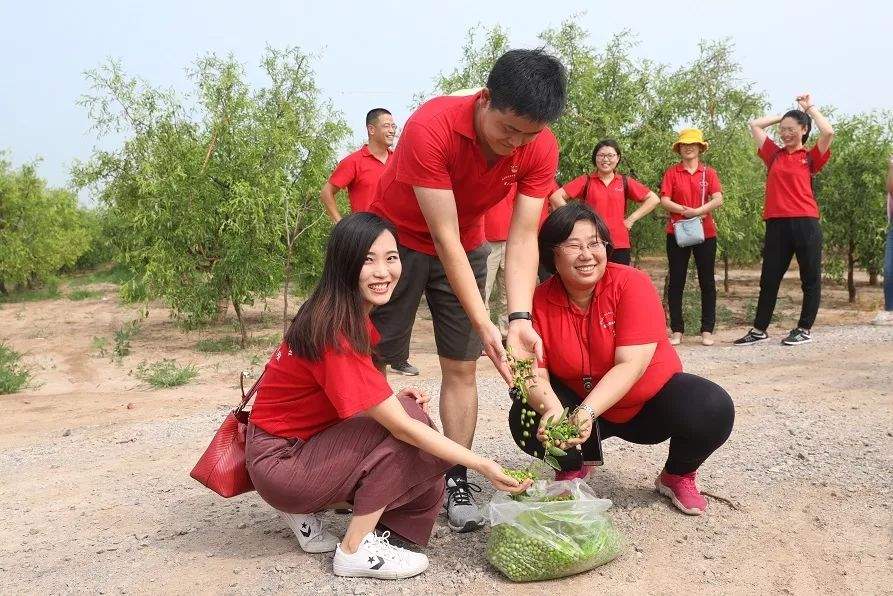 坚定理想信念不忘初心使命|滨海新区“青年马克思主义者培养工程”第六期培训班圆满结束