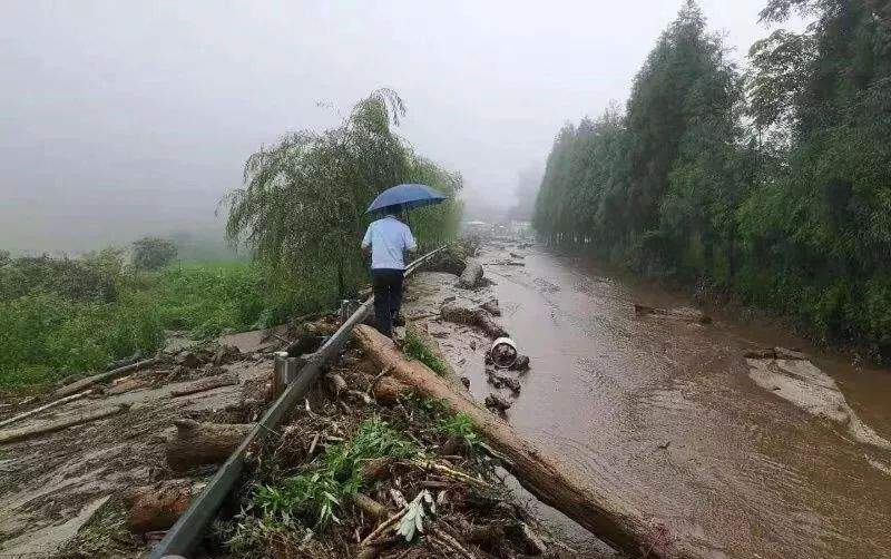 暴雨袭川！多地发生泥石流、滑坡！14市州地灾黄色预警！