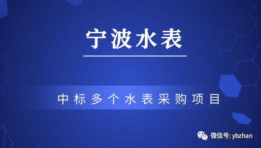 宁波水表及联合体中标多个水表采购项目金额超1.14亿元