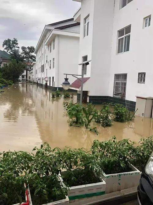 暴雨不断，汉中这个小区被淹了…