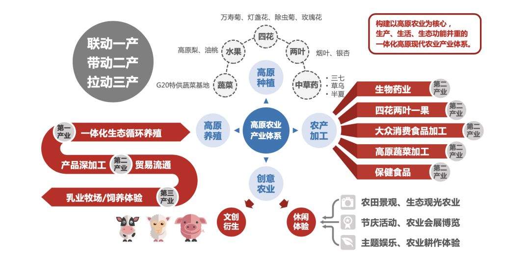 设计扶贫在行动|走进云南