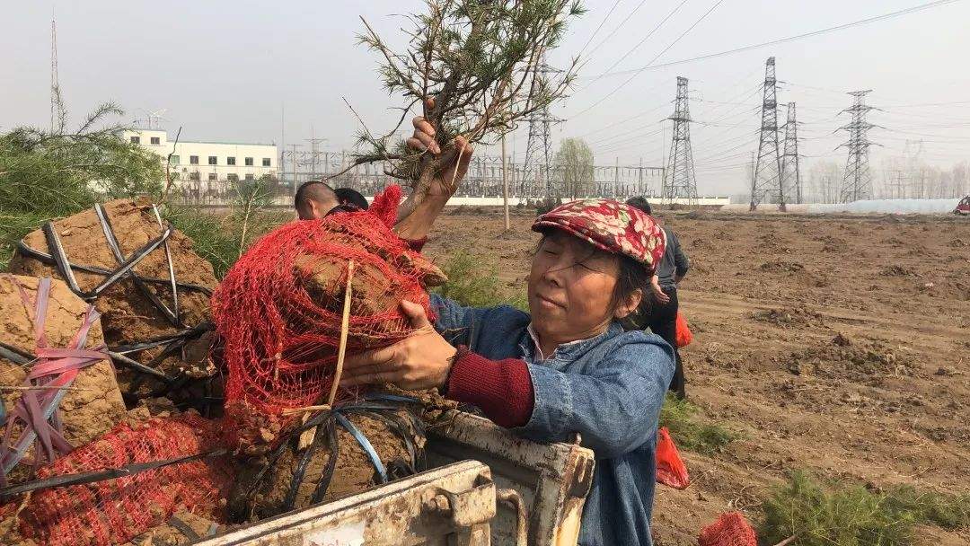 扶弱助残帮贫济困——走进济宁第七届助人为乐道德模范