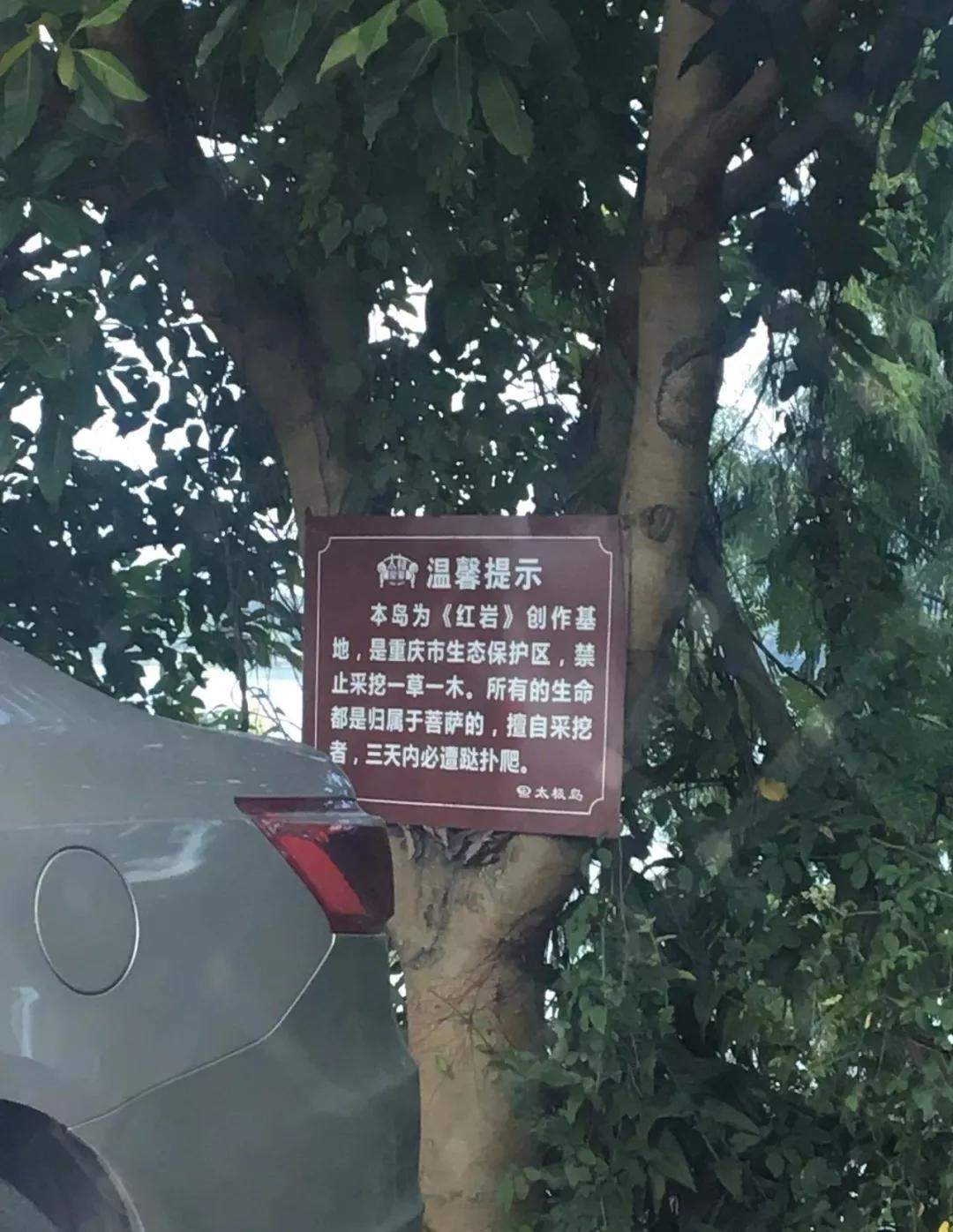 这诅咒也太可爱了吧