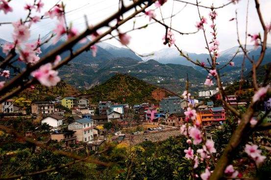 【美丽乡村】实施乡村振兴共建美丽昭君--陈家湾村