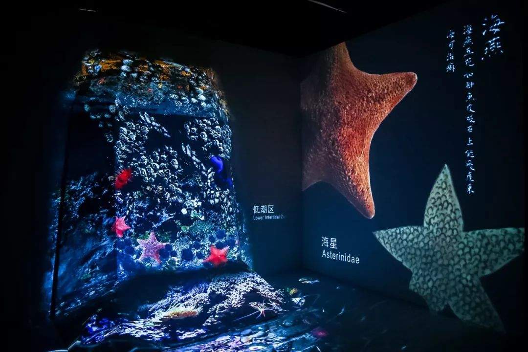 《海错图》多媒体综合展登陆深圳