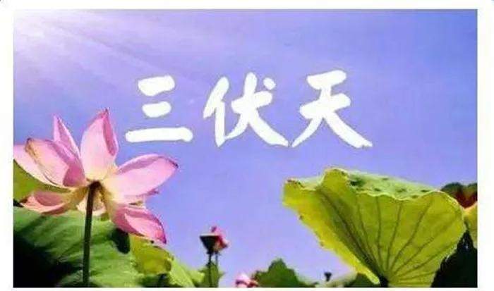 三伏天，烧伏香，养生调理，你赶上时机了吗？