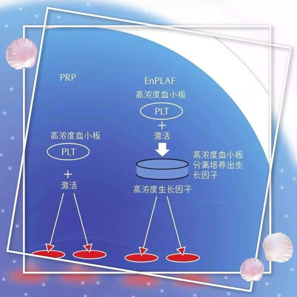 45岁的蔡少芬怀三胎，大龄求子不再困难，“卵巢回春术”了解一下...