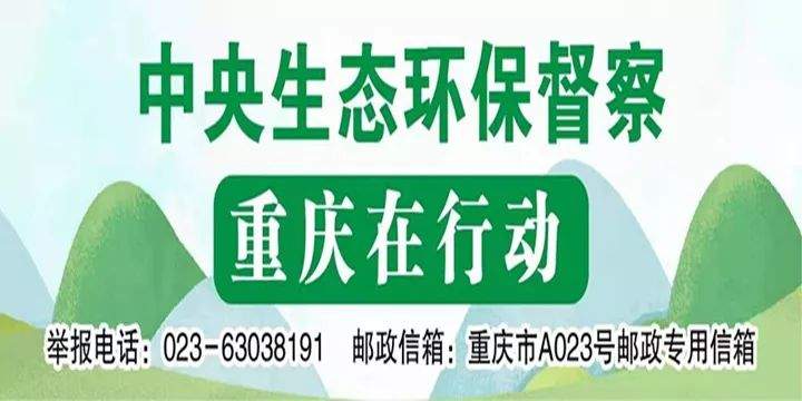 【中央生态环保督察重庆在行动】联合执法，向露天烧烤占道经营说不！