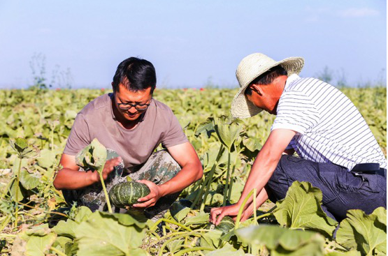 再孵化十个沙漠南瓜！聚划算将推动“甘味”品牌向千亿产业进发