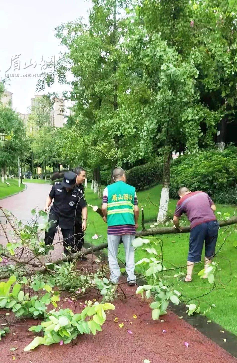 感谢你们，眉山暴雨中的“安全卫士”