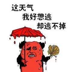 此刻！雷声阵阵！阜阳启动应急命令！