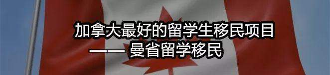 科普曼省新政策|加拿大最好的留学生移民项目