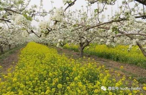 浙江在全国率先探索化肥定额制施用