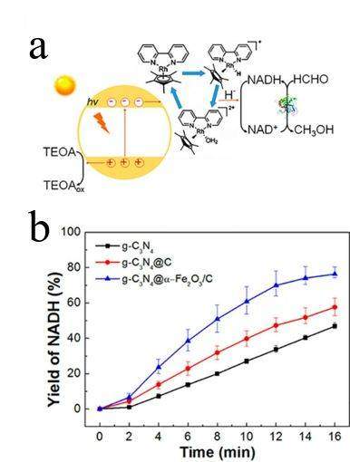 湖南大学曾光明&张辰ACB综述：核壳结构氮化碳的最新研究进展和展望