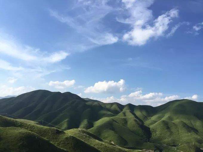 别去内蒙古了，泉州附近藏了一片“呼伦贝尔大草原”，平均只有25.1℃！