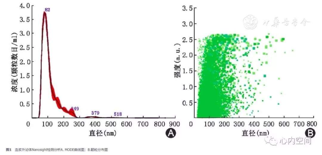 病毒性心肌炎患者血浆外泌体生物标志物蛋白质组学筛选