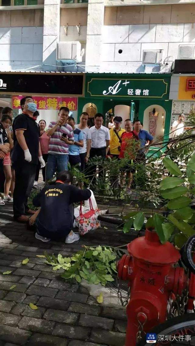 女子骑车途中被树枝砸伤腰椎造成骨折，找谁赔？