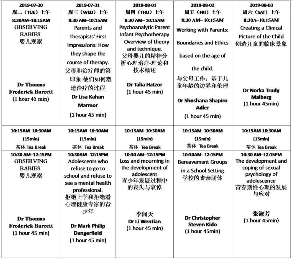 【现场概况-第五天】中美儿童青少年精神分析暑期培训班