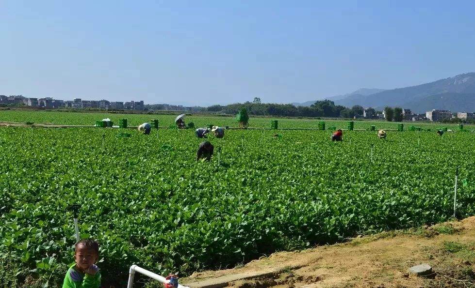 关系到每一位市民！肇庆这项大工程进展如何？赶紧来看！