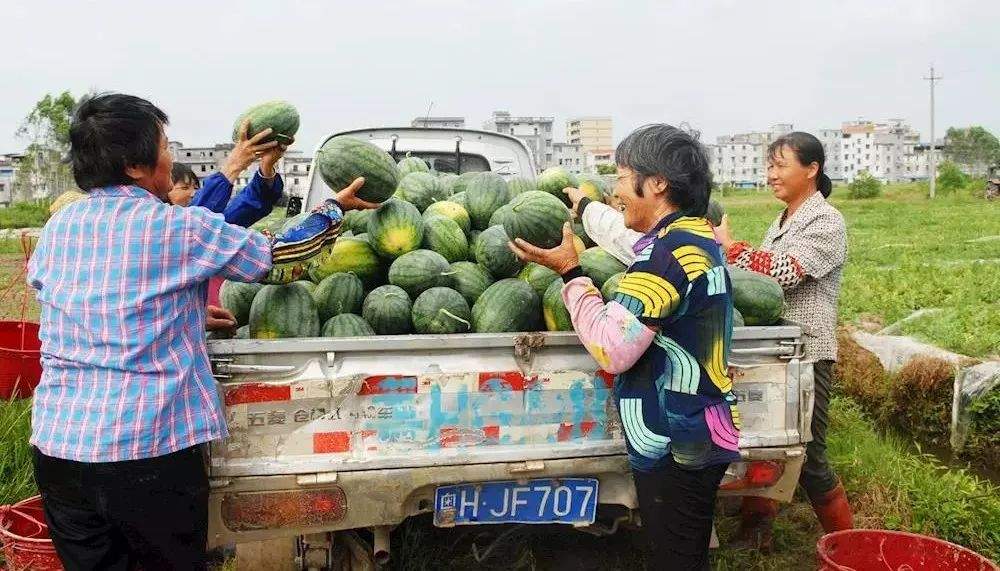 关系到每一位市民！肇庆这项大工程进展如何？赶紧来看！