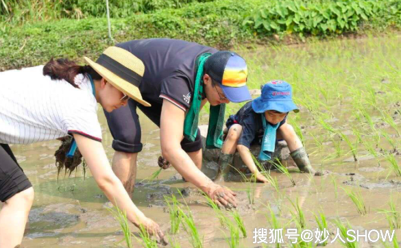 解秘正能量豪门夫妇！郭晶晶霍启刚带儿插秧，真正的望族不仅有钱