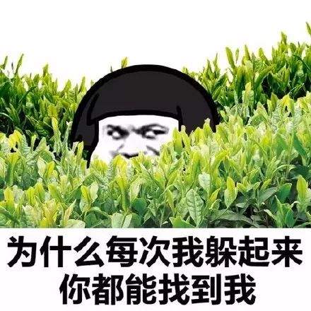 民警支招：作案后，躲在哪里最安全？