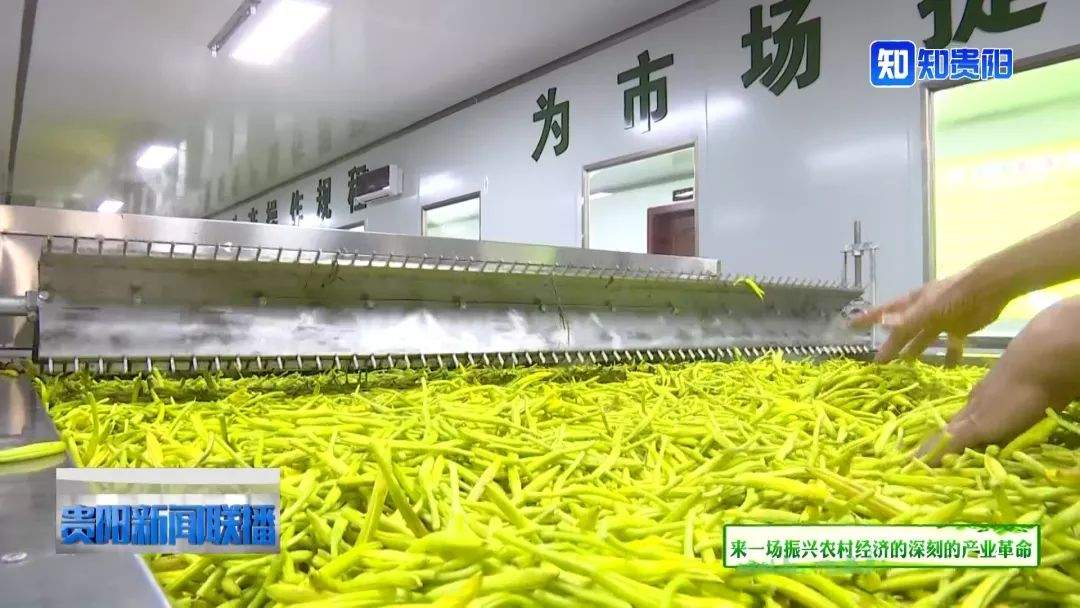 贵阳蔬菜产业高质量发展市民“菜篮子”物丰价稳