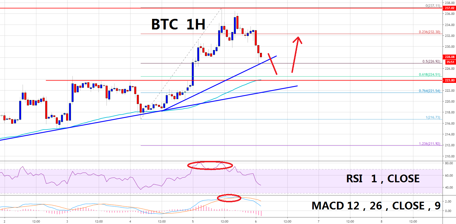 以太坊价格（ETH）修正收益：逢低收于224美元附近