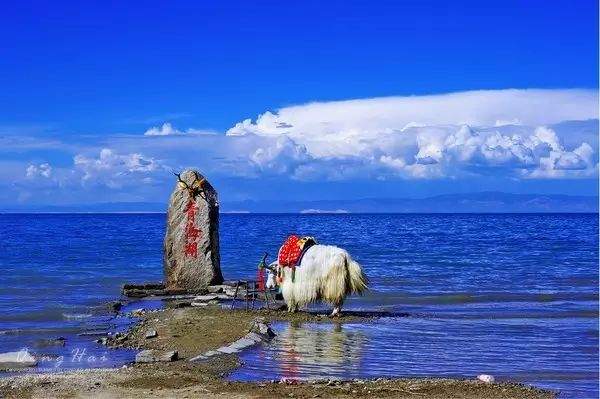 一场穿越时光的旅途！跨越西北，重走丝路，(还送行李箱)让您一次游遍1/4中国~