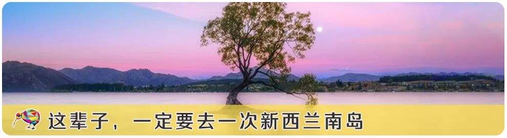 “新西兰浪费了我一年的时间”，那些放弃事业来新西兰的中国人，现在怎么样了？